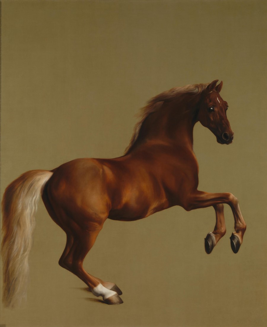 Whistlejacket, painting by George Stubbs, at the National Gallery, London